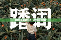 墨西哥男篮表现出色，备战国际锦标赛