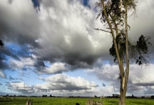 空砍三分，燃爆全场观众