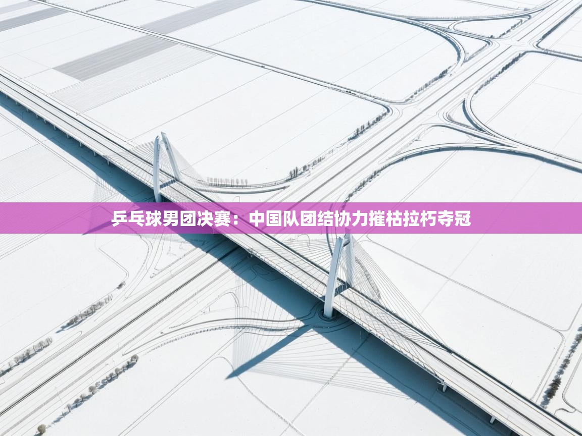 乒乓球男团决赛：中国队团结协力摧枯拉朽夺冠  第1张