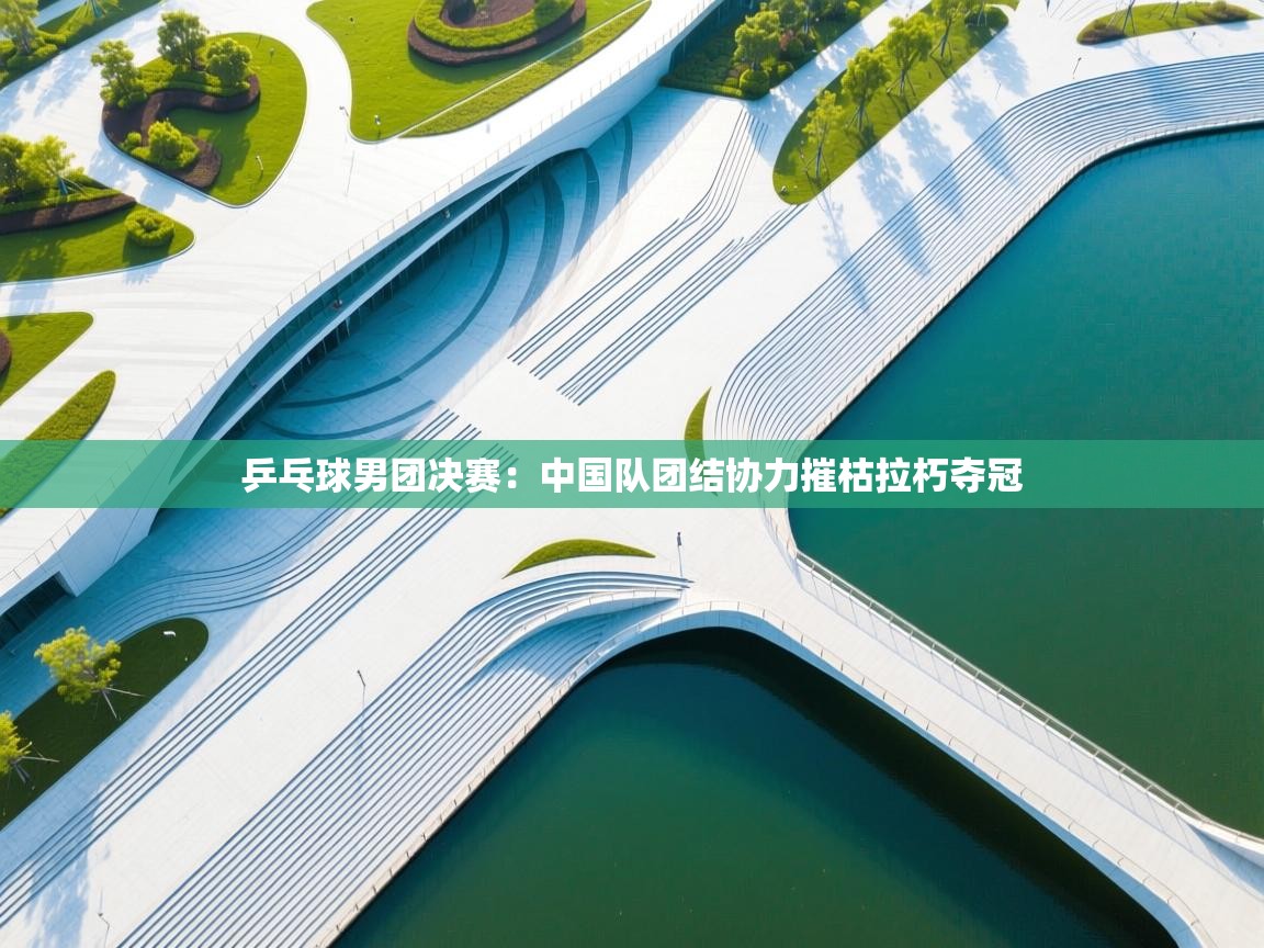 乒乓球男团决赛：中国队团结协力摧枯拉朽夺冠  第2张